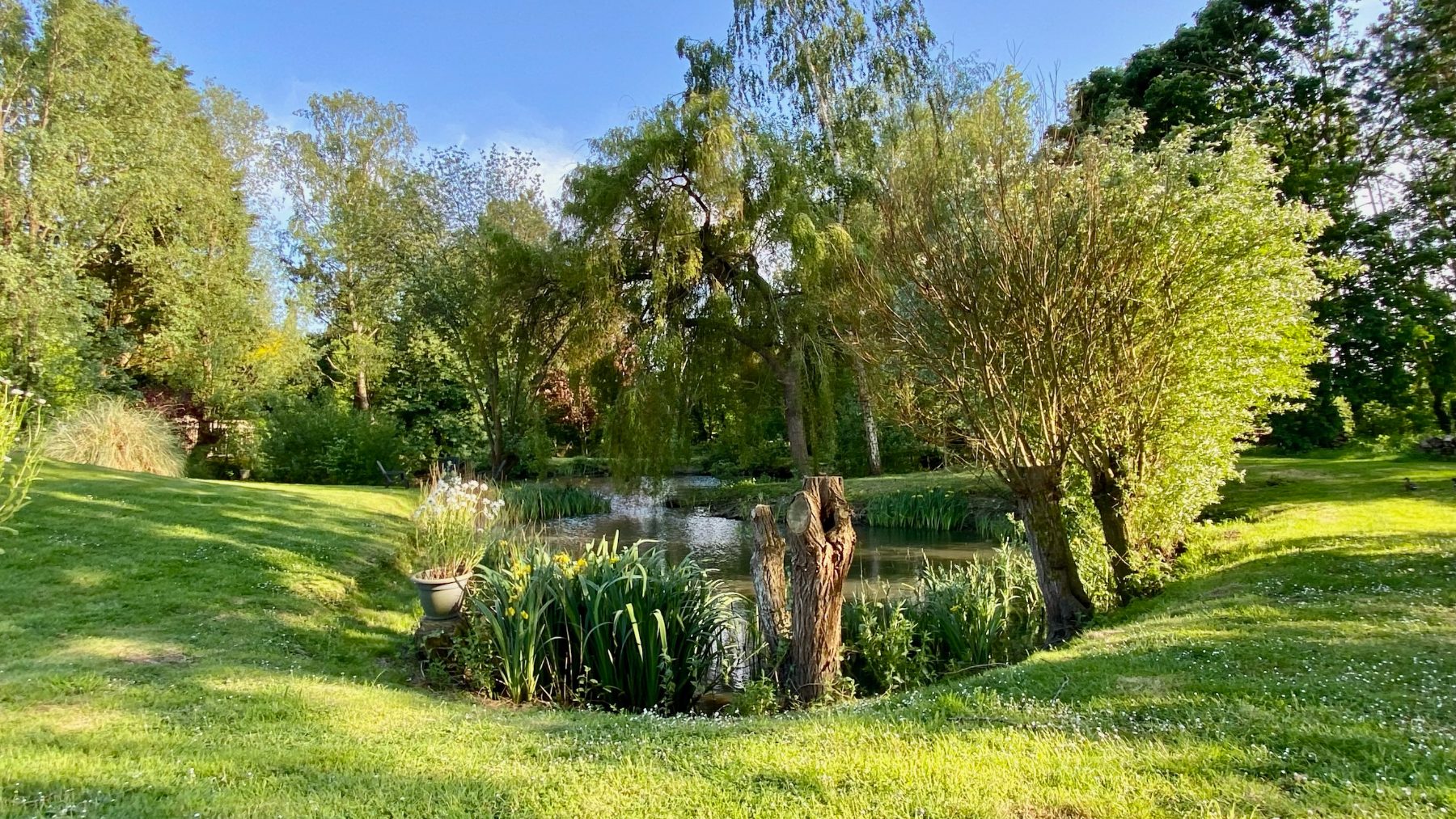 Le parc arboré de 7 200 m² du gîte