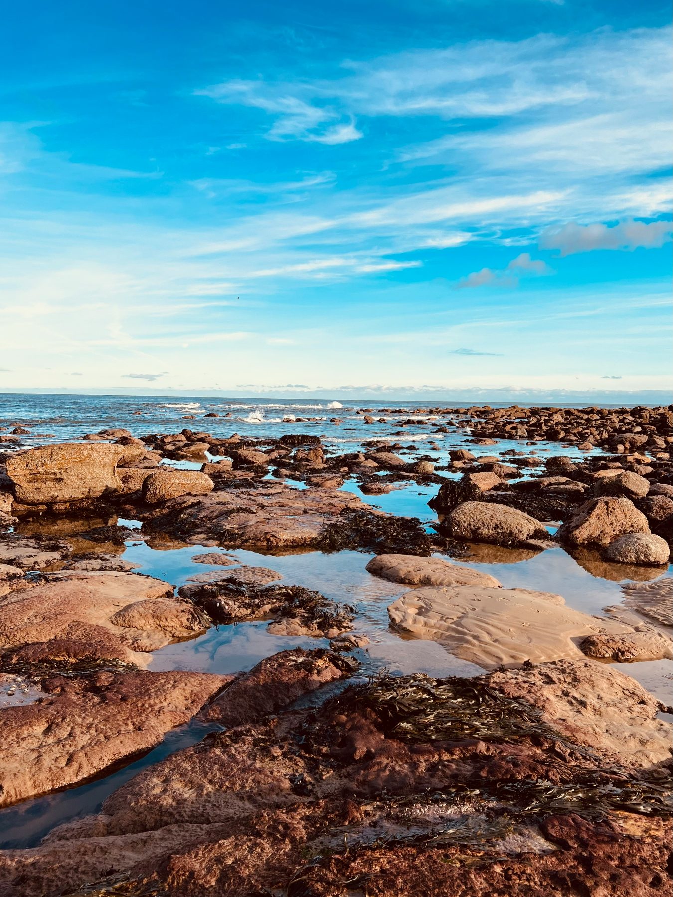 Estran découvert à marée basse sur la baie